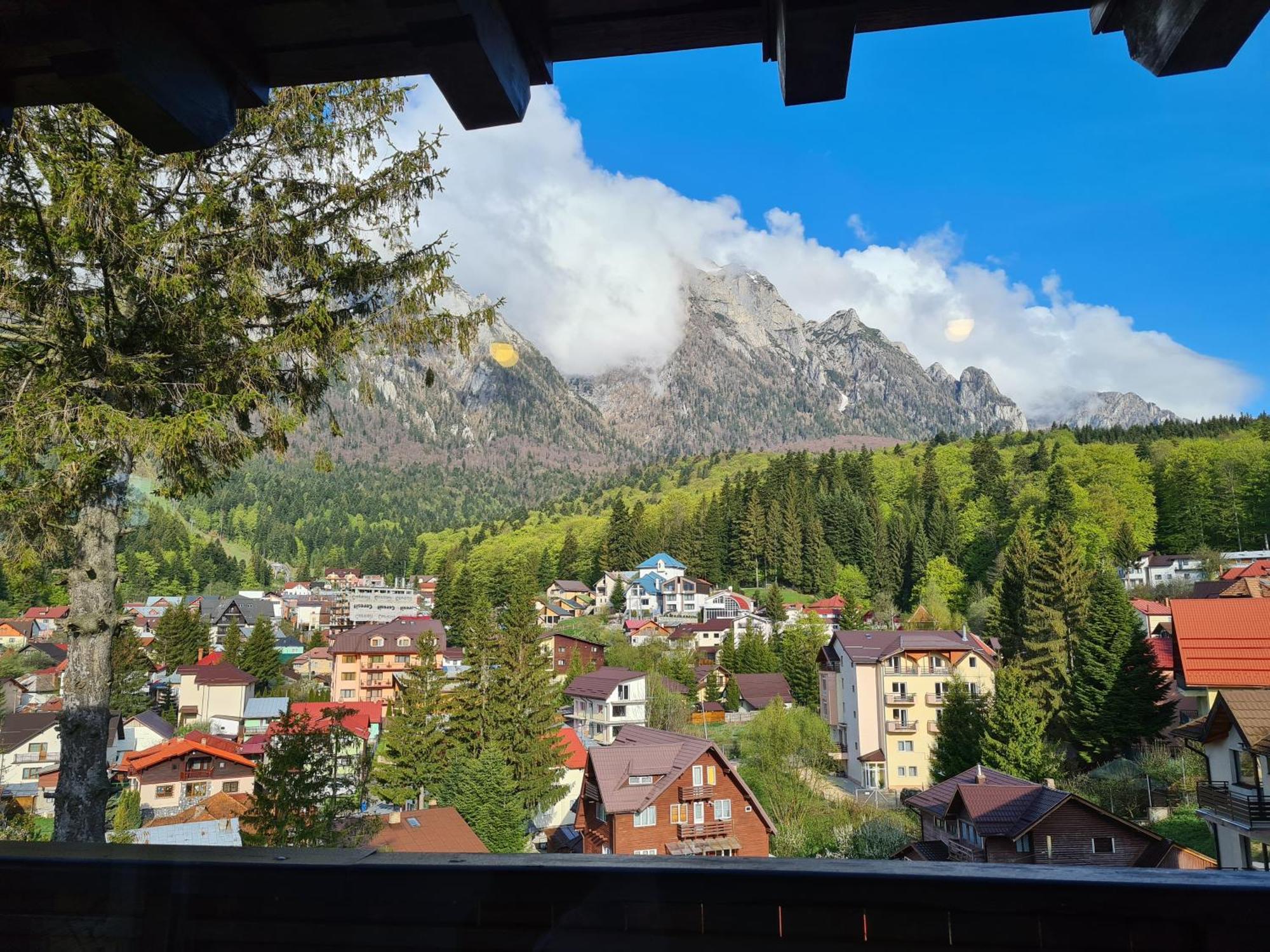 Casa Florescu Buşteni Buitenkant foto