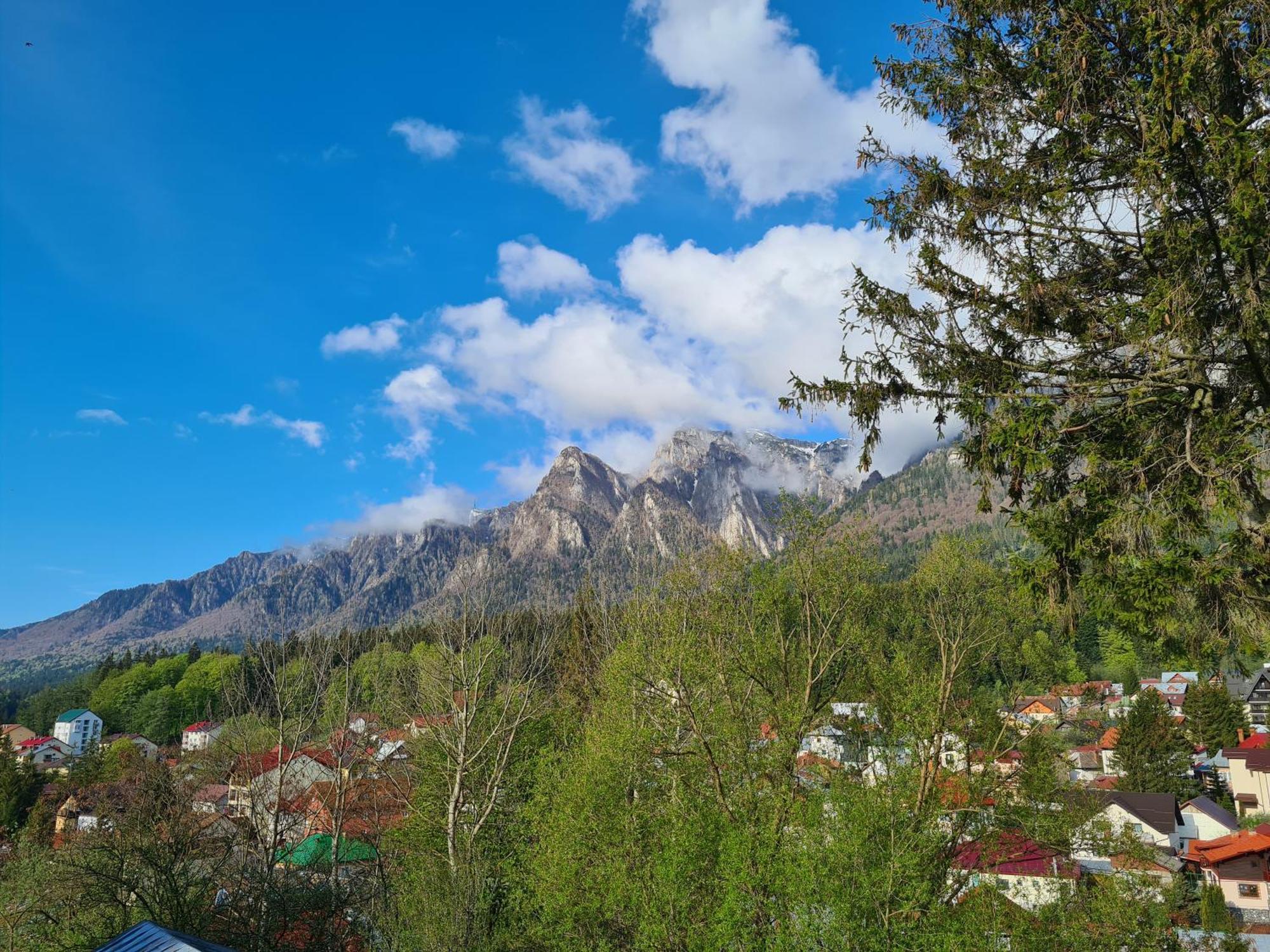 Casa Florescu Buşteni Buitenkant foto