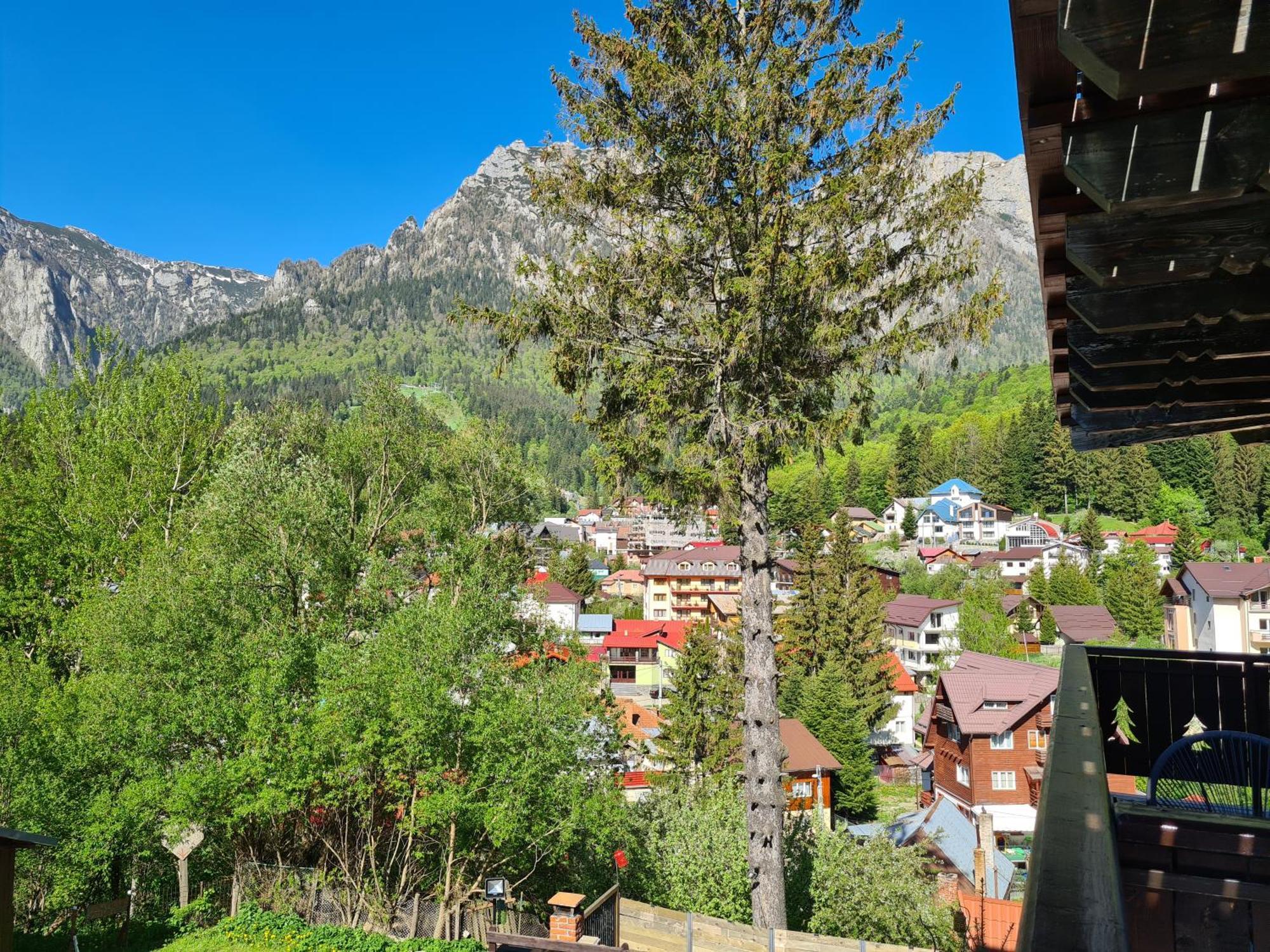 Casa Florescu Buşteni Buitenkant foto
