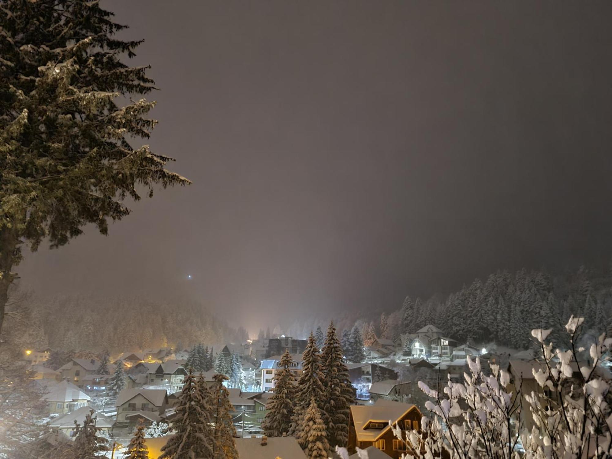 Casa Florescu Buşteni Buitenkant foto
