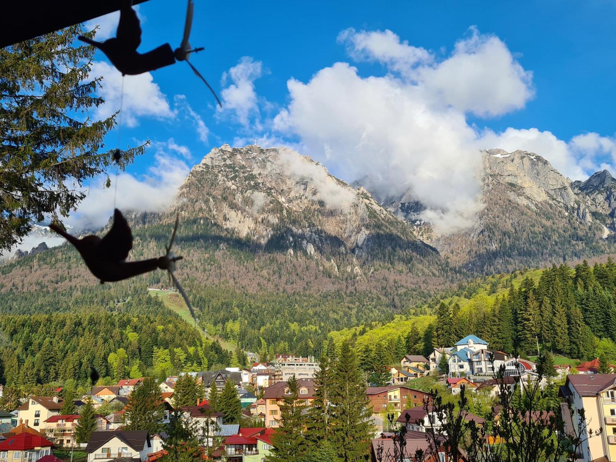 Casa Florescu Buşteni Buitenkant foto